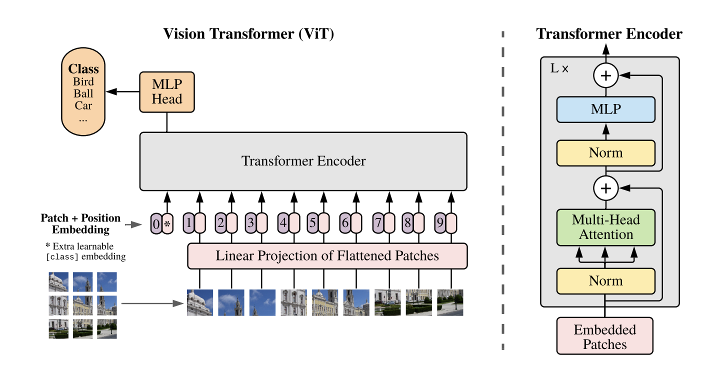 ViT architecture from “An Image Is Worth 16x16 Words”